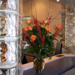 Dr. Popper's office
